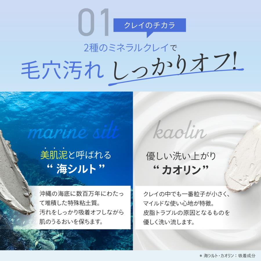 Fleuri（フルリ） 公式 ミネラルクレイフォーム 100g (1本) 洗顔 洗顔