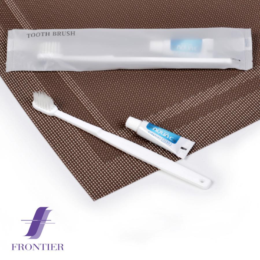 歯磨き粉付き 業務用 使い捨て 歯ブラシセット SA お得な250個セット