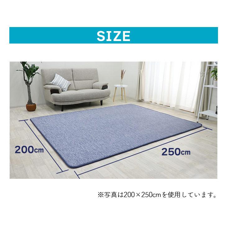 フリーリー ラグ 夏 低反発 ひんやり 冷感 接触冷感 200×250 低反発