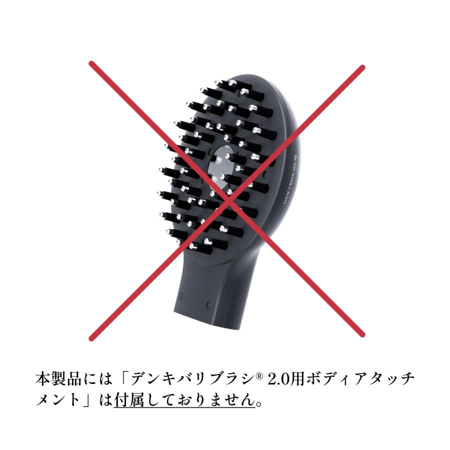 GMコーポレーション デンキバリブラシ(R)2.0（DENKI BARI BRUSH(R)2.0