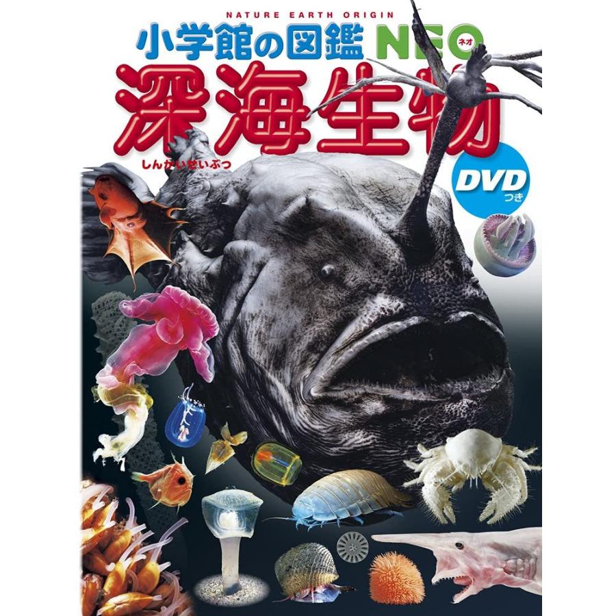 小学館の図鑑NEO 深海生物 DVDつき』藤原 義弘/著 : 二子玉川 蔦屋家電