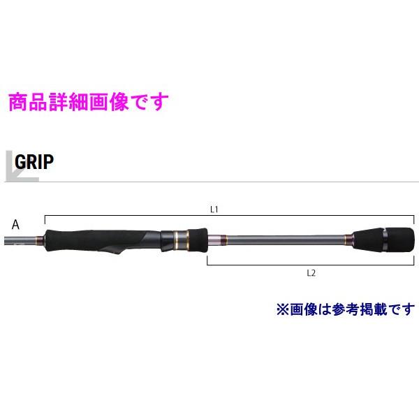 エイテック テイルウォーク ソルティシェイプダッシュ ティップラン