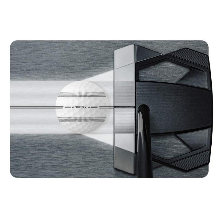 TaylorMade（テーラーメイド） 右用 SPIDER スパイダー ZT STANDARD