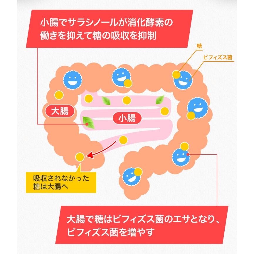 メタバリア プレミアムEX 60日分 480粒 (30日分袋タイプ 240粒 ×2個