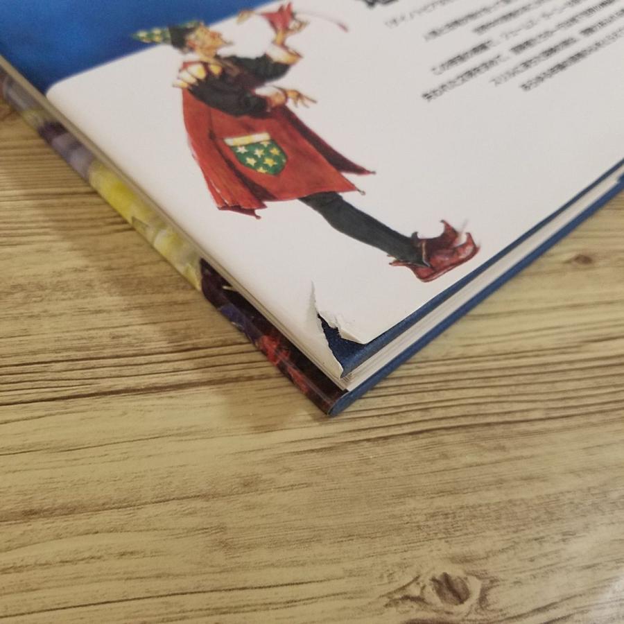 絵本[ダイノトピア 地下世界への冒険(カバー傷み)] シリーズ2作目 大人