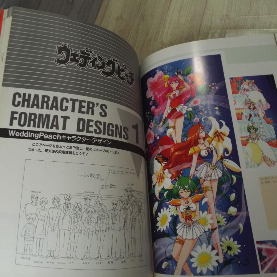 アニメ系[This Is Animation Ciao ウェディングピーチ シークレット