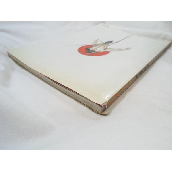 天野嘉孝 イマジン 天野喜孝 新書館 : FUNFUNほうむず - 通販 - Yahoo