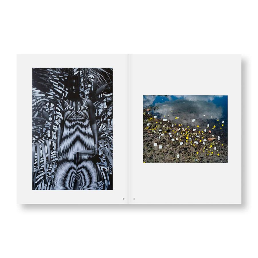 PHOSPHOR by Viviane Sassen ヴィヴィアン・サッセン 写真集 : 銀座 蔦