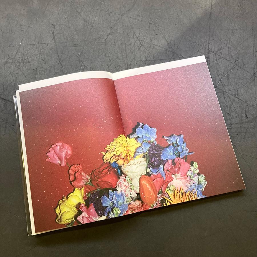 KYOHEI HATTORI 2019-2020 服部恭平 写真集 : 銀座 蔦屋書店 - 通販