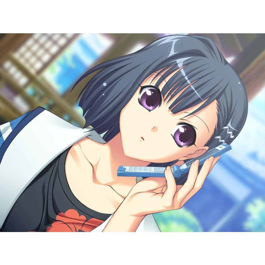 Switch アカイイト＆アオイシロ HD REMASTER 特別版（ネコポス便不可