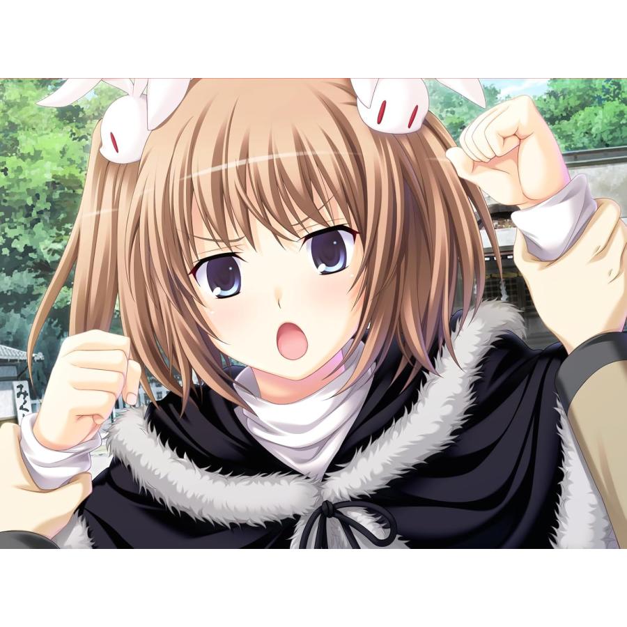 エンターグラム 【取寄せ商品】Switch bitter smile. 通常版（ビター