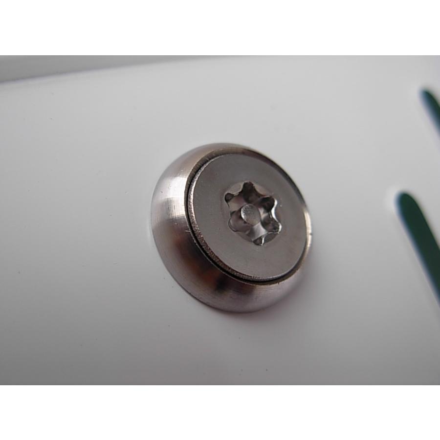 盗難防止ネジ 3本セット ローゼット ステンレス トルクス ボルト