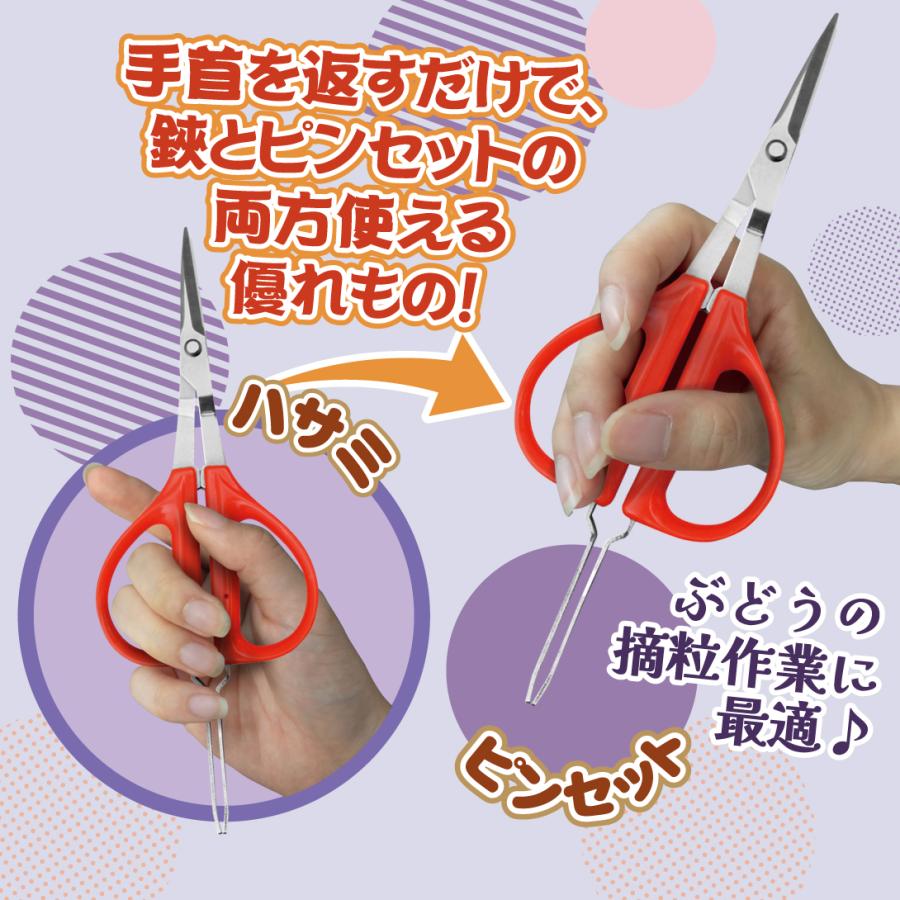 ピンセット付ぶどう鋏 1個 : 花と緑 国華園 - 通販 - Yahoo!ショッピング