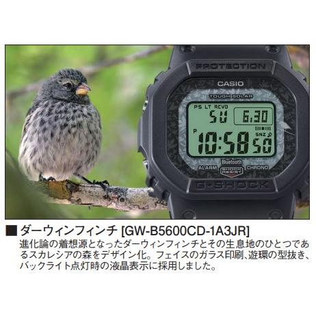 G-SHOCK カシオ Gショック GW-B5600CD-1A3JR : コマトク平石時計舗