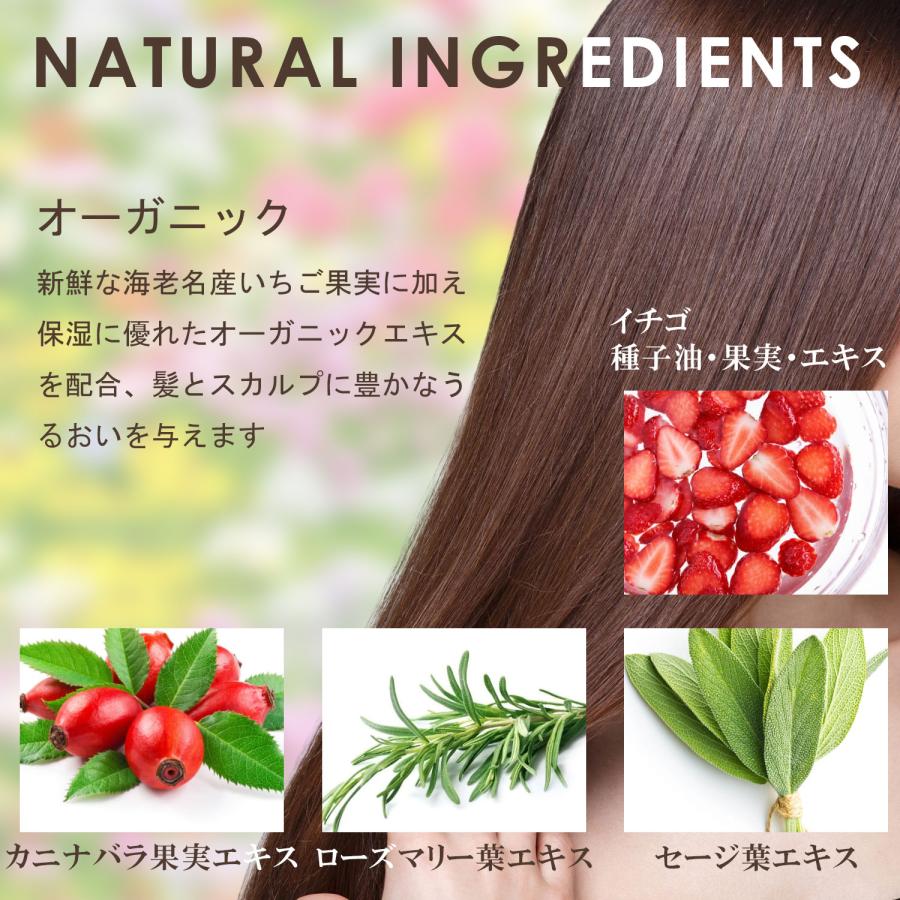 いちごシャンプー トリートメント サロン品質 ダメージケア アミノ酸