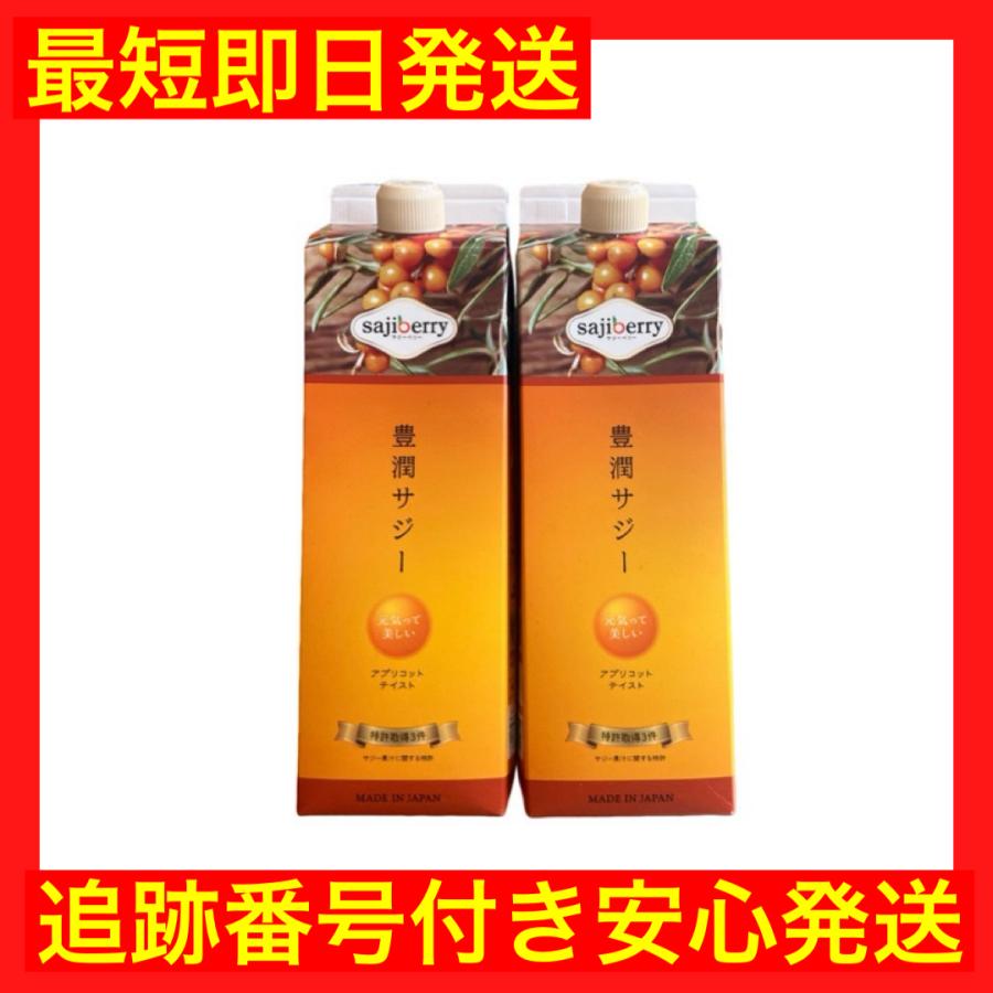 豊潤サジー アプリコット テイスト 1000mL 紙パック 2本 サジー