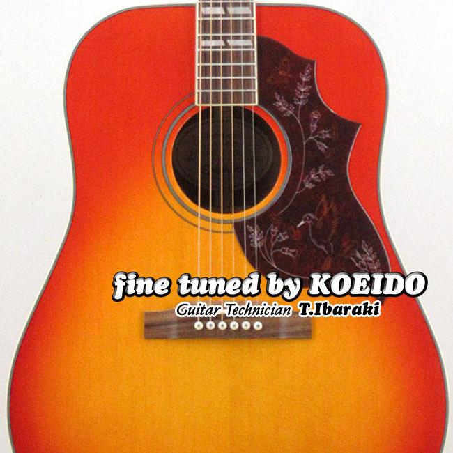 Epiphone（エピフォン） Epiphone Hummingbird Studio FC(アクセサリー