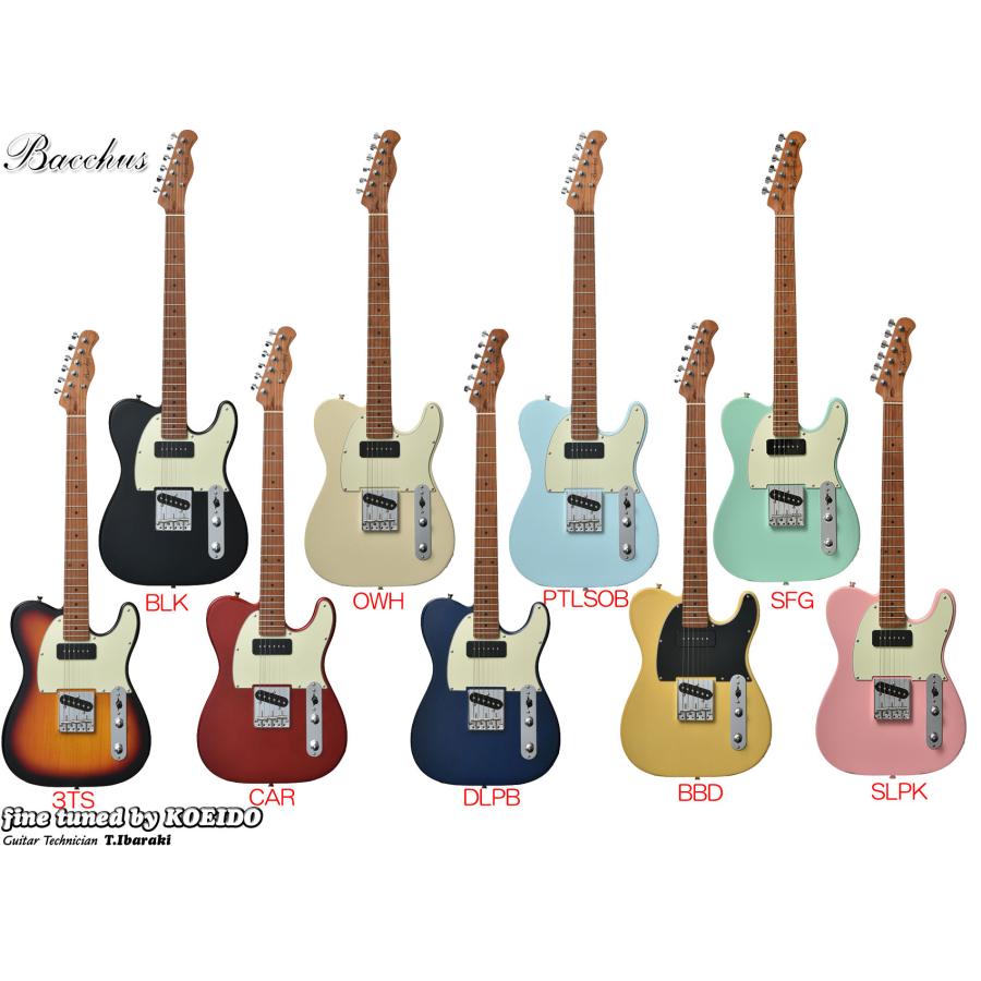 Bacchus（バッカス） Bacchus BTE-2-RSM/M (ストラップサービス中