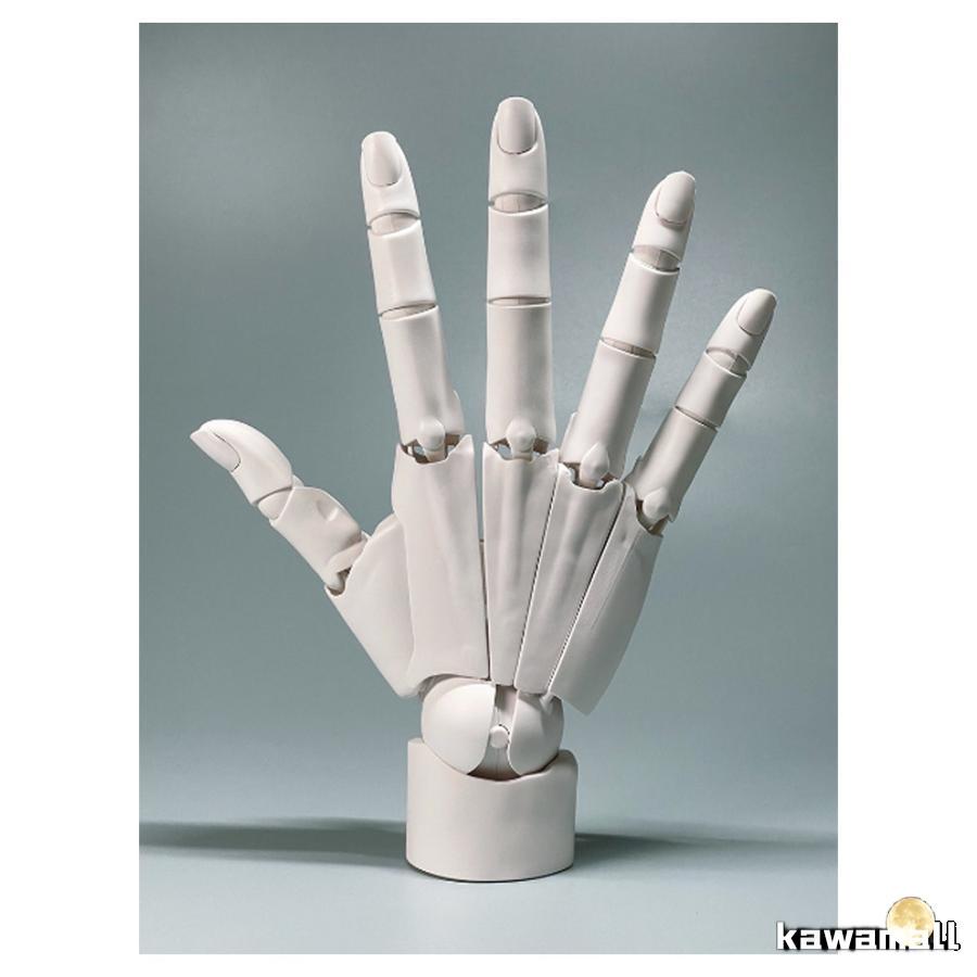 曲げられるスタンド付き】 1/1 ハンドモデル 左手 右手 R L 可動式