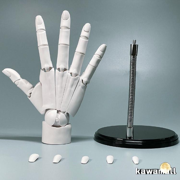 曲げられるスタンド付き】 1/1 ハンドモデル 左手 右手 R L 可動式