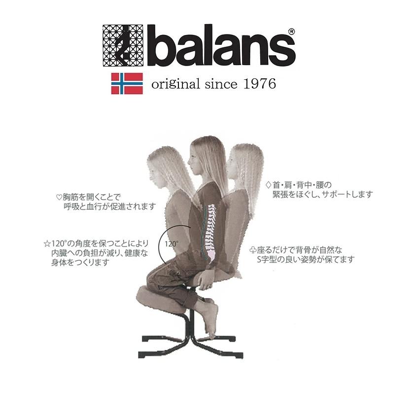 爆買 バランススタディ 正規品 バランスチェア カバーリング 国新産業