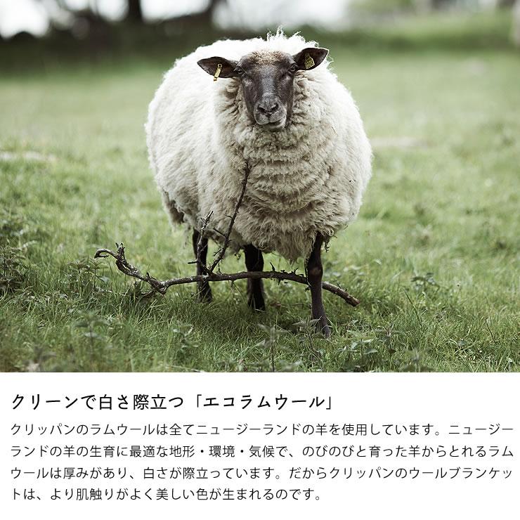 KLIPPAN（クリッパン） × mina perhonen（ミナ ペルホネン） アート