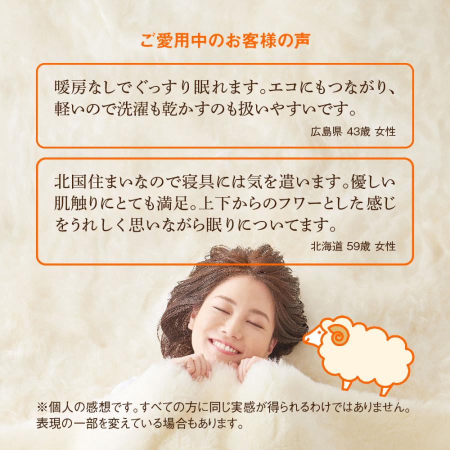 ディーブレス 毛布 The PREMIUM Sofwool 敷き毛布 シングル