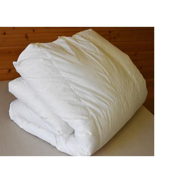 フランスベッド（FRANCEBED） 羽毛掛ふとん ダブルサイズ 展示現品特価