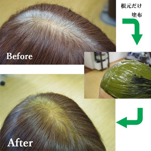 ヘナ ハナヘナ hana henna ハーバルブラウン 100g 白髪染め ブラウン