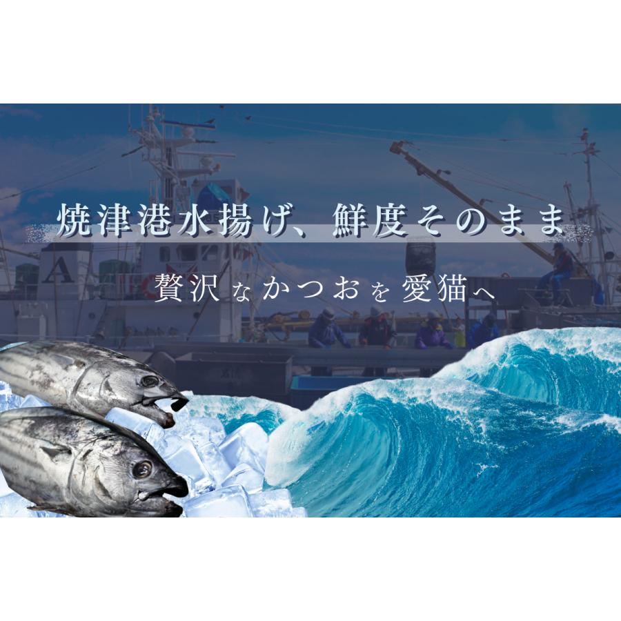 キャットフード 猫 子猫 シニア猫 #ねこ様用 60g 10袋 スモークカツオ