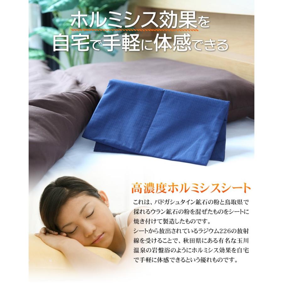 ホルミシスシート スーパー10 玉川温泉 岩盤浴 最高放射線量の約2倍