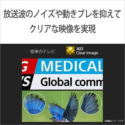 BRAVIA XRJ-55A80L ソニー 55V型 4K有機ELテレビ ブラビア A80L