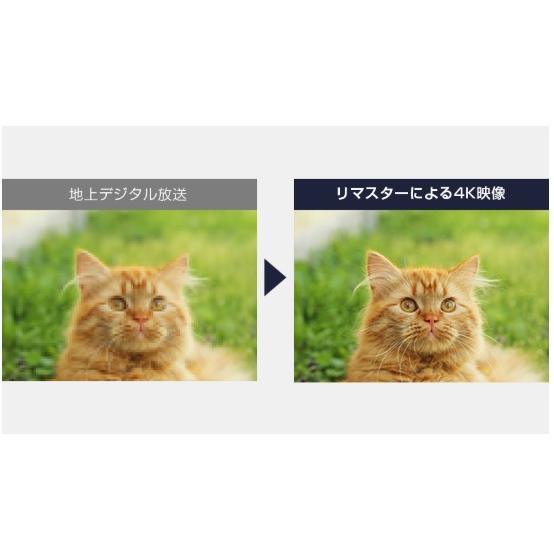 新品 Funai FireTV FL-43UF370 43V型 4K液晶テレビ Alexa対応 ブラック