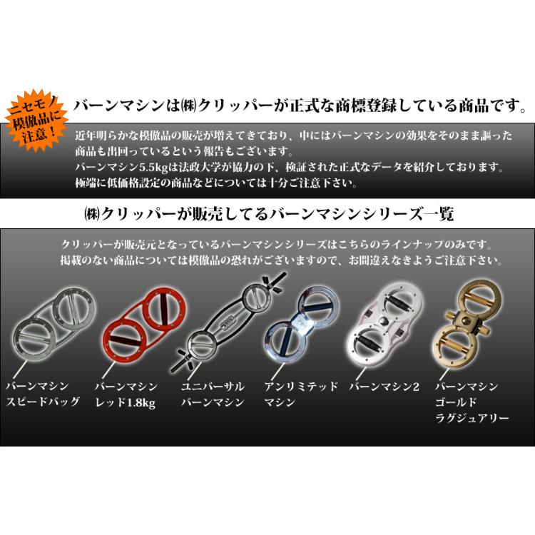 バーンマシン スピードバッグ BURN MACHINE 5.5kg 筋トレ トレーニング