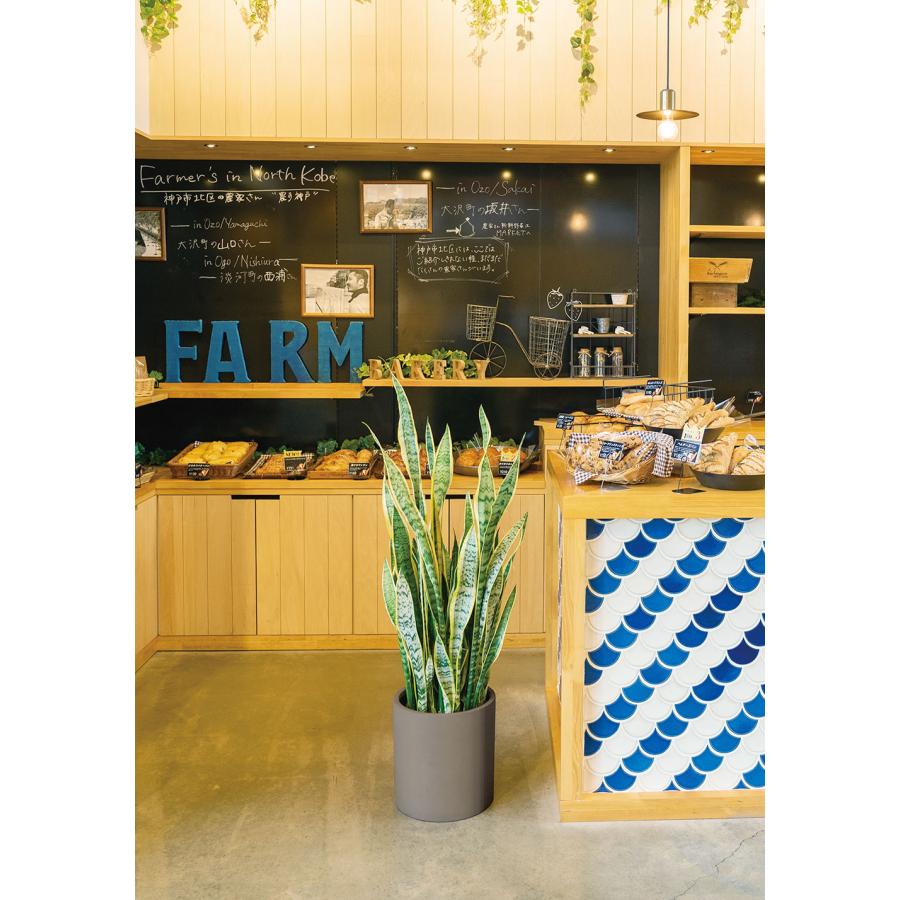 鉢カバー プランターカバー おしゃれ 大型 人気 観葉植物 インドア