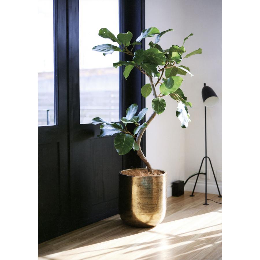 鉢カバー プランターカバー おしゃれ 大型 人気 インテリア 観葉植物