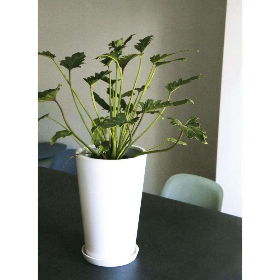 植木鉢 大型 受け皿付き おしゃれ 人気 プランター ポット 器 観葉植物