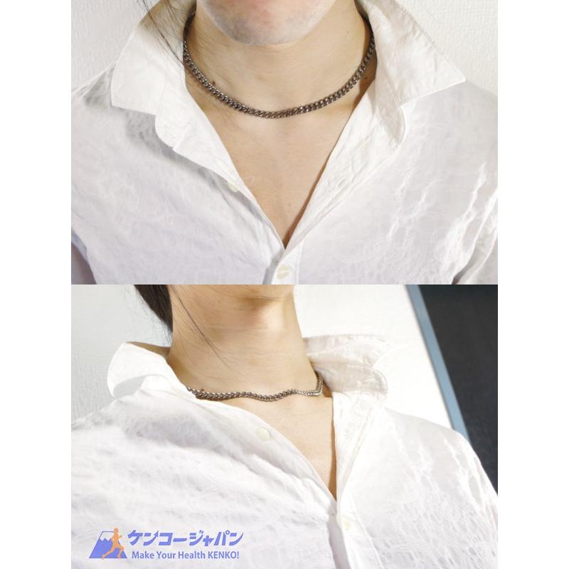 Phiten（ファイテン） チタンチェーン ネックレス 40cm | メンズ