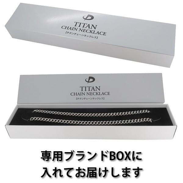 Phiten（ファイテン） チタンチェーン ネックレス 40cm | メンズ