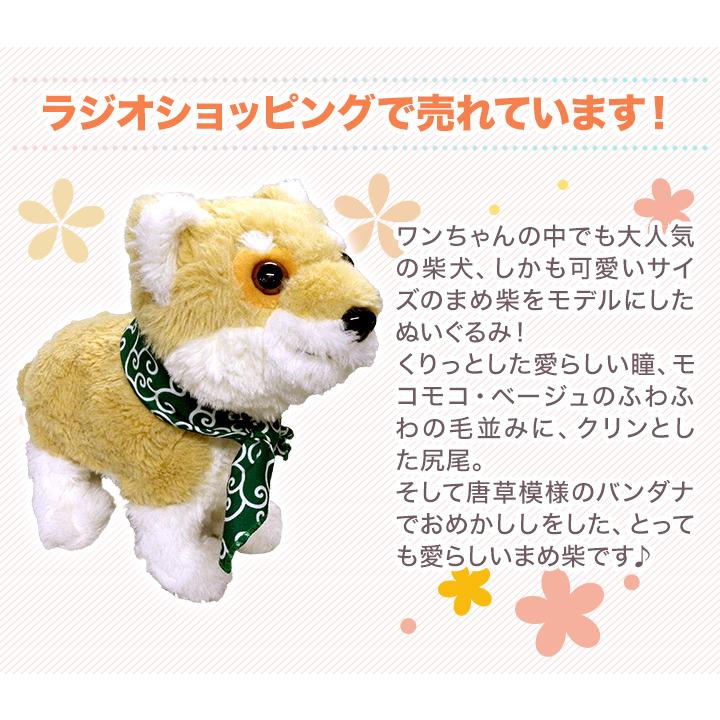 しゃべる犬 快適生活 おはなし大好き！歌って踊れる「ロボットまめ柴