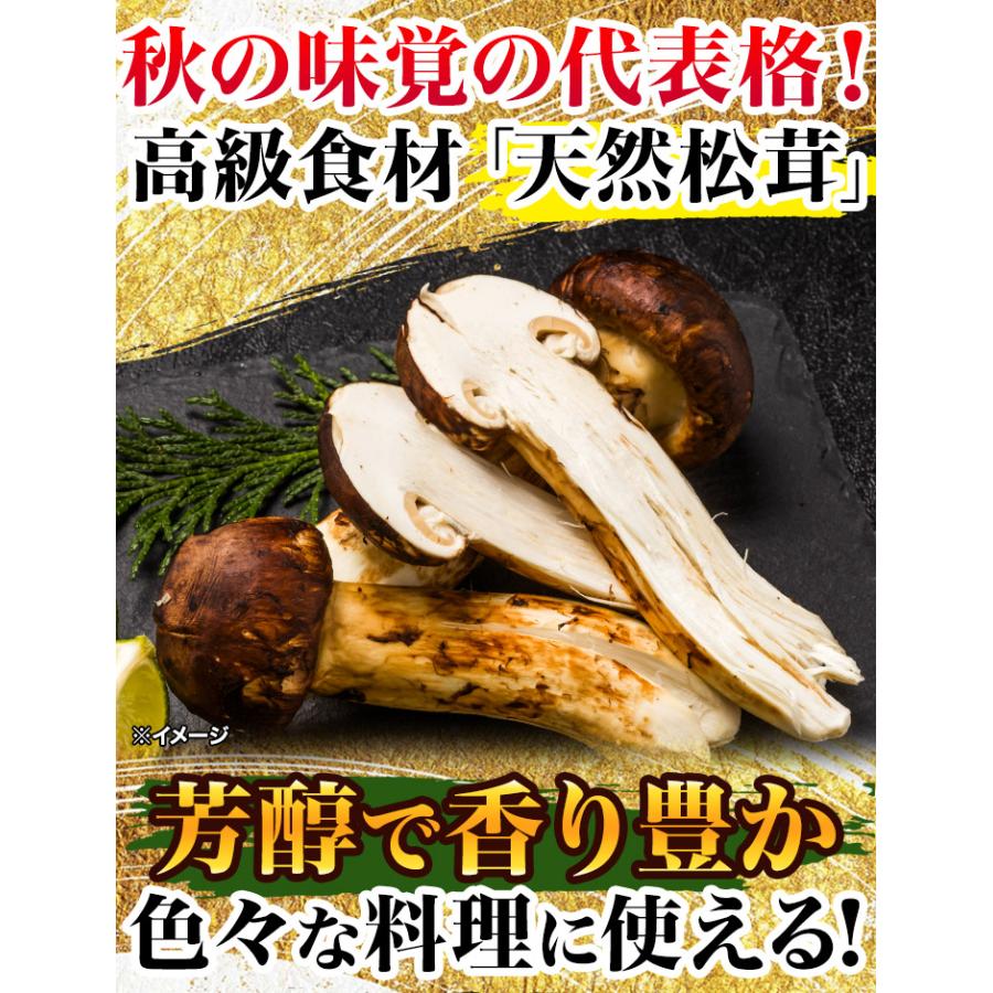 マツタケ まつたけ 天然 快適生活 天然高級 松茸開き 500g ひらき 開き