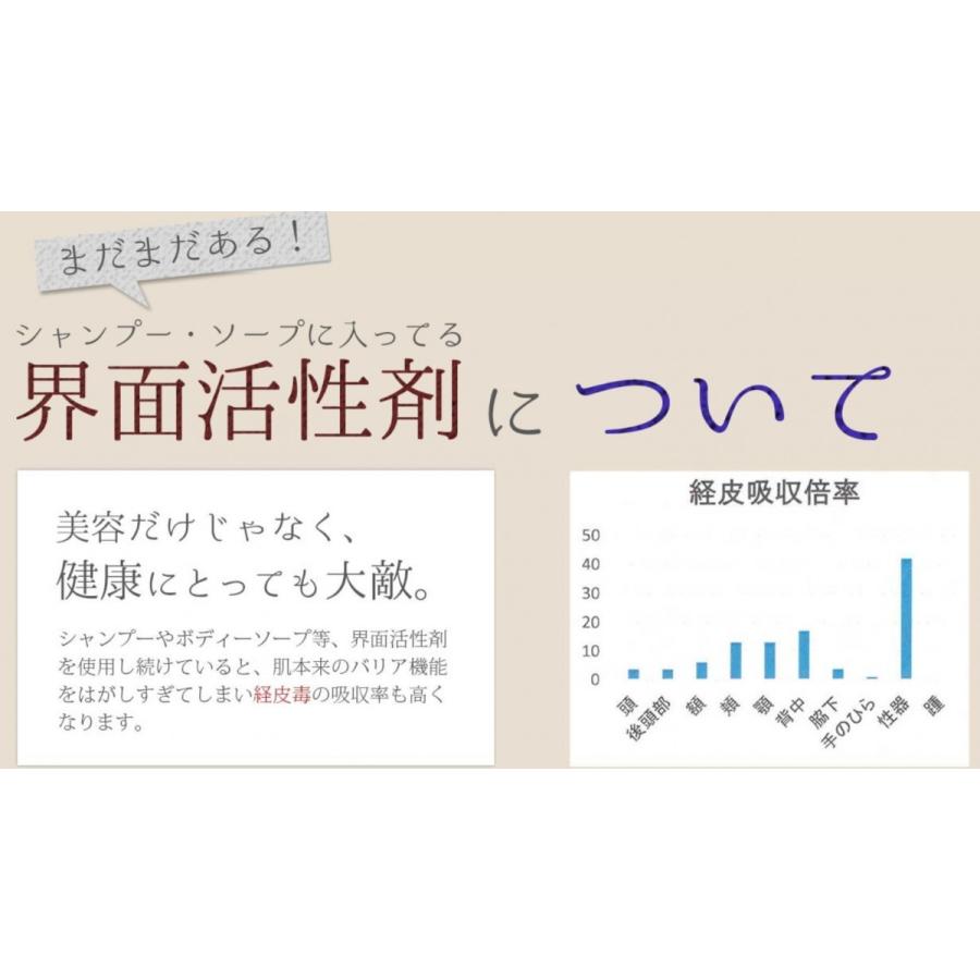 湯シャンタブレット シャワーヘッド+タブレット10錠入り ノー