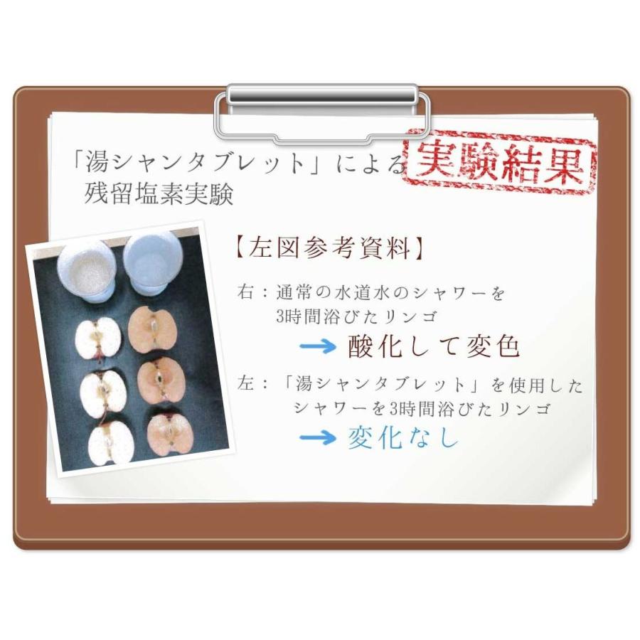 湯シャンタブレット シャワーヘッド+タブレット10錠入り ノー