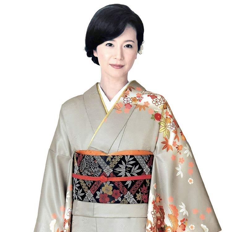 H.L（アッシュ・エル） 訪問着 フルセット 18点 洗える 着物 帯 長襦袢