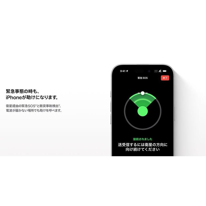 Apple iPhone 16 Plus 256GB 本体 新品未開封 SIMフリー アップル 携帯