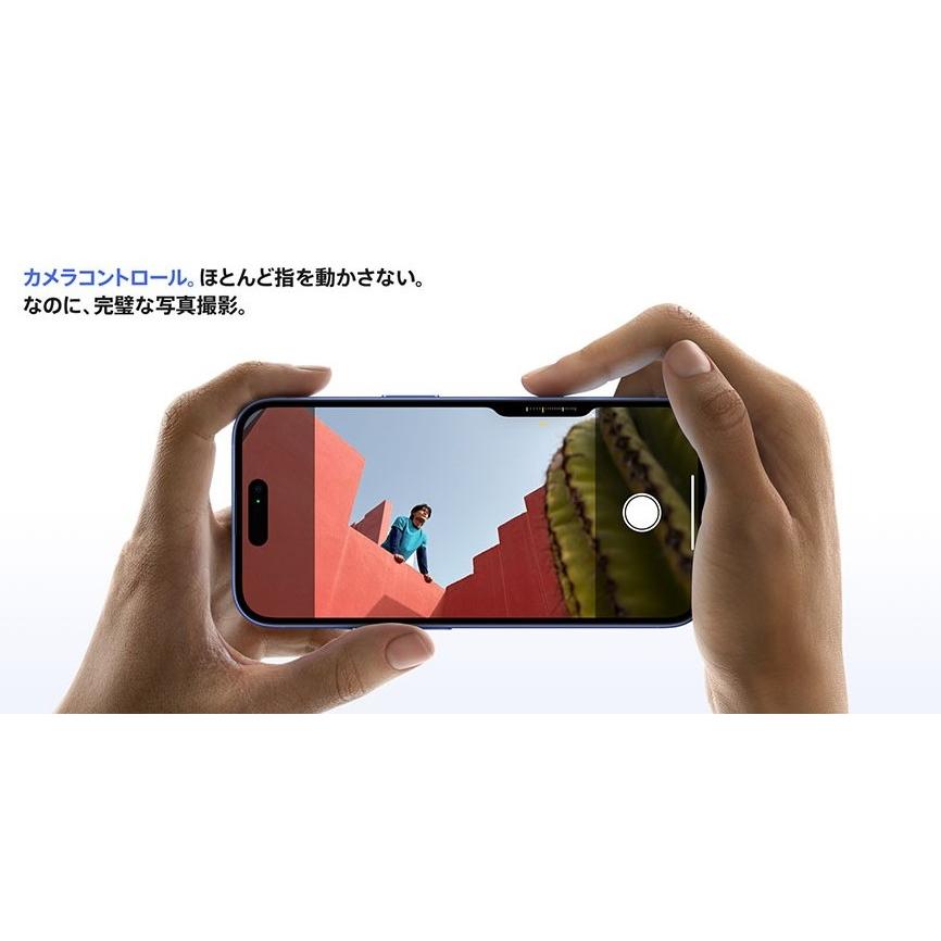 Apple iPhone 16 Plus 256GB 本体 新品未開封 SIMフリー アップル 携帯