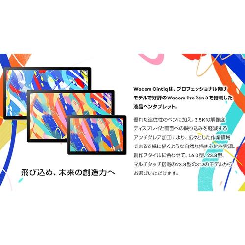 ワコム 液晶ペンタブレット Wacom Cintiq 24 (DTK246) DTK246K4C