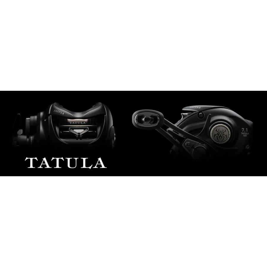 DAIWA（ダイワ） 24タトゥーラ TW 100XHL DAIWA TATULA TW 100XHL