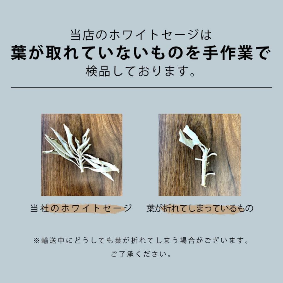 アンドエスエイチ ホワイトセージ 浄化用 カリフォルニア産 50g <br