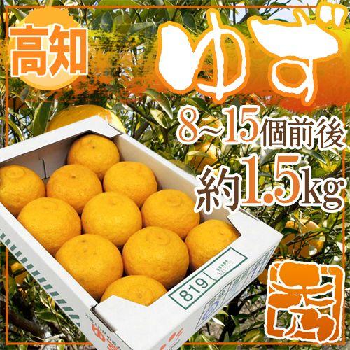 高知産 ”ゆず” 秀品 8〜15玉 約1.5kg【予約 11月下旬以降】 送料無料